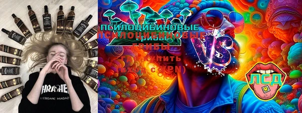 стаф Алексин