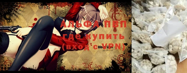 стаф Алексин