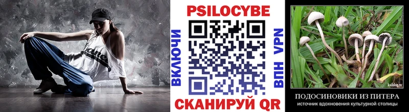 Галлюциногенные грибы MAGIC MUSHROOMS  Кукмор 